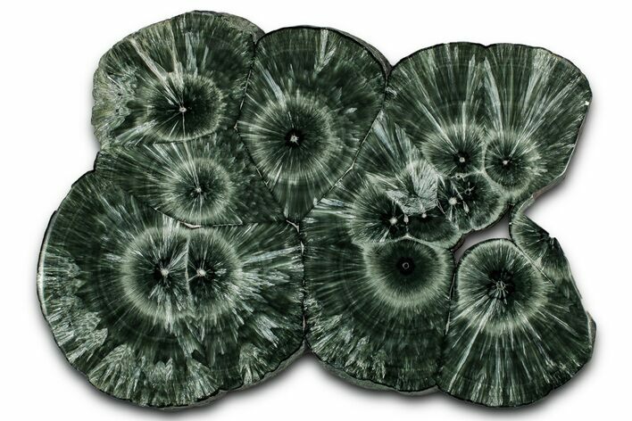 Stunning, Polished Seraphinite Slab - Korshunovkiy Mine, Siberia #352661